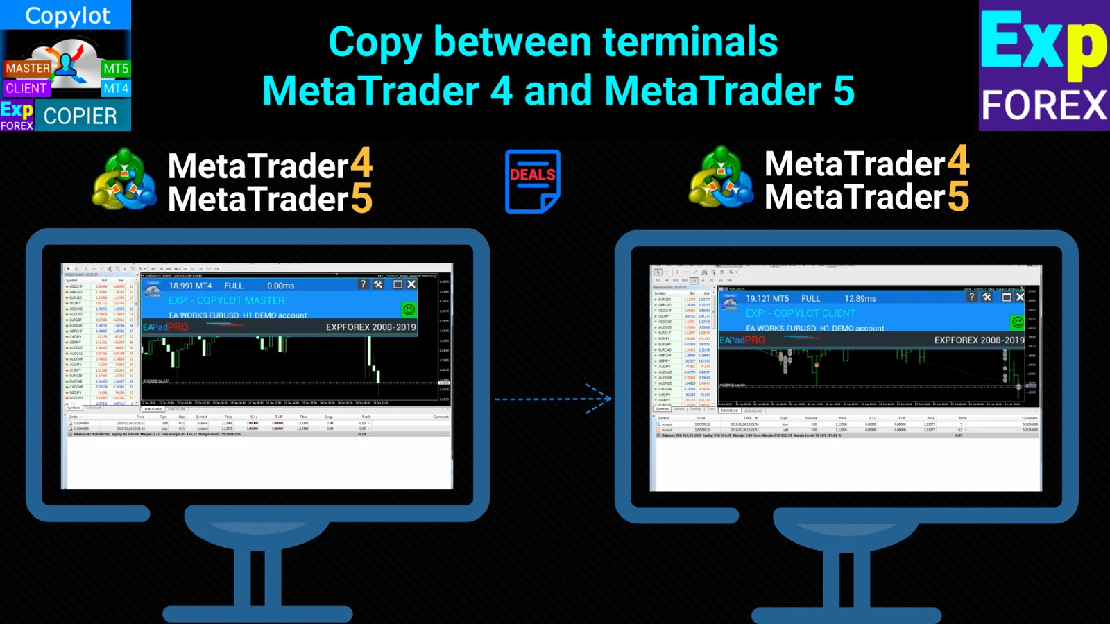 Exp COPYLOT Client interface on MetaTrader 4