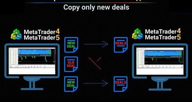 Exp COPYLOT (Forex Trade Copier MT4/MT5)